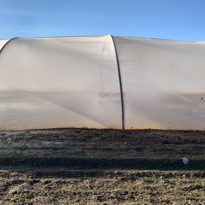 塑料農(nóng)業(yè)覆蓋膜